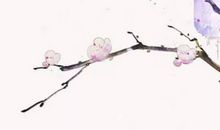 2020年5月17号四月二十五日生的男孩命运好吗，取什么名字寓意佳