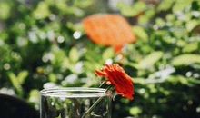 实不相瞒，血型人抗拒爱情是有这些顾虑