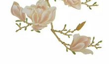 生肖属猪爸爸和什么生肖属相的孩子是三合，六合