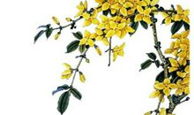 2020年4月5日三月十三生的男孩命运好吗，起什么名字吉祥