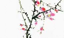 生肖属马爸爸和什么生肖属相的孩子是三合，六合