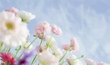 讨厌人情世故，最不爱社交的三大星座，但情商足够，只是喜欢孤独