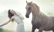 生肖马婚姻何时才会有爱情