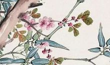 2020年4月27号四月初五出生的人性格命运解析，五行八字查询