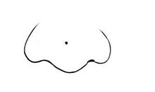 女人鼻尖有痣有什么说法，会破财吗？