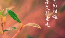 测测哪种男人会情不自禁爱上你？