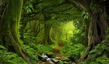 11月初迎大喜、发旺财，一笔横财滚滚来，3生肖双喜临门，好日子躲不掉