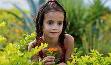 木火同属性的字