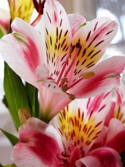 5月6日开始，4属相洪福齐天，富贵难挡，节节攀升，前途无量 1