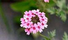 11月23号天降大财，财运飙升，苦尽甘来的4个生肖