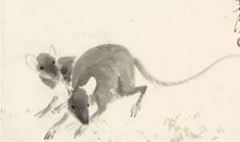 《玄占堂》:不同属相，看不同性格和命运，越看越准！