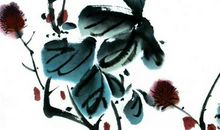 1955年生的65岁生肖羊人2020年运势好吗，充满变数的一年