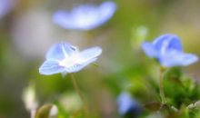 3月下旬财运大发，大发横财的4大生肖，事业平步青云