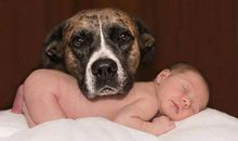 生肖狗的人适合佩戴什么