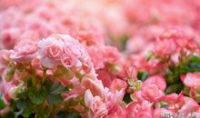 人到中年魅力不降反升的生肖女，“岁月催人老”这句话仿佛失效了