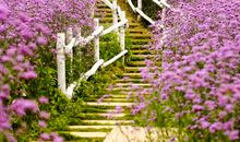 未来7天，好运连连，事业有成，财帛不缺的3生肖！