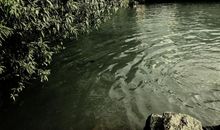 未来三个月，有贵人运的3大生肖，机会不容错过