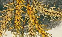 2020鼠年生肖属猴人的事业运，走哪都有钱赚