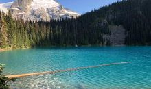 3.13号事业辉煌，4大生肖前途无量，财运如日中天，日子幸福美满