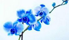 下周开始，天天开口笑！3生肖不得了，脚踩“狗屎运”，金银大奖躲不掉