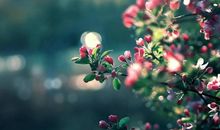 明天起，好运重逢、财气大旺，喜事、贵人红透半边天，3生肖天天开口笑不停