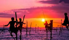 老公是三大生肖，从来不会三心二意，对老婆专一，对家庭负责！