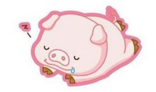 属猪的几月出生最好，命运是最好的