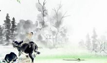 天秤座男生和什么星座最配，讲义气的水瓶座最适合