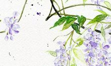 1980年生的40岁生肖猴人2020年运势好吗，多颗凶星存在