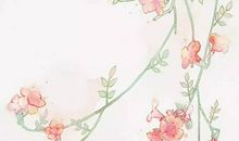 1956年生的64岁生肖猴人2020年运势好吗，三合贵人照命