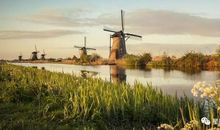 12号、13号、14号迎大喜、发旺财，3生肖，喜事成双来，睡着都笑醒