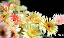 9号开始，睡着都笑醒！3生肖，运势喜洋洋，彩票中大奖，收入翻倍涨