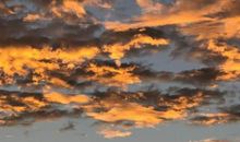 该爱的时候就勇敢爱，不爱了就放手的星座