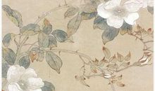 2020年6月出生的男孩如何取名字，用四书五经取名