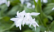 19年最后2月，用麻布袋装大钱，3生肖大运缠身、苦尽甘来，生活处处有惊喜