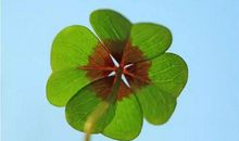 11月中旬，天天笑哈哈！3生肖运势上涨，大发“洋财”，用麻布袋装大钱