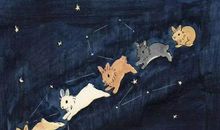 周运丨12星座一周运势（0113-0119）