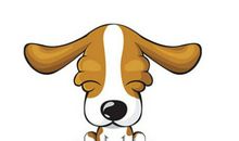 生肖狗男人与其他属相女人结合的婚姻状况如何，好不好？