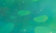 2020年3月生肖属羊人的桃花运好吗，不好且有劫