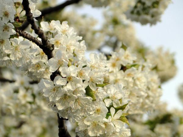 4月下旬起财星庇护，四属相一路顺风顺水，大富大贵不仅仅是梦想