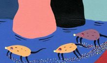 星座｜12星座命中注定的四种人生！