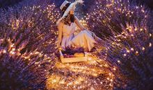 婚后成家立业事业有成的三个生肖