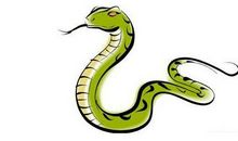 今年属蛇的人多少岁,属蛇的2020年几岁了