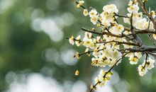 2019偏财运极好，财神爷看中的三大生肖，爱情事业双丰收