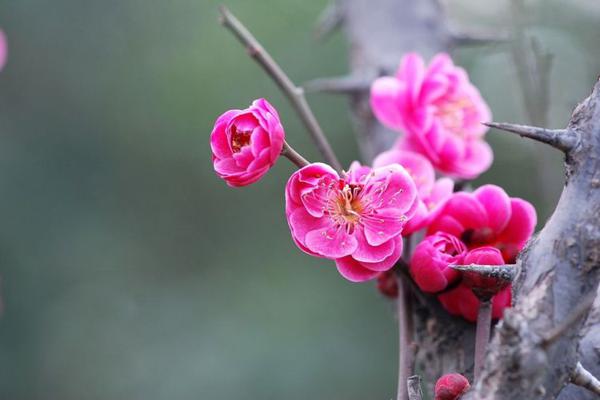 广结财缘，财神当头坐，喜讯接二连三 1