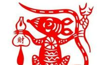 属鼠2020年本命年有什么禁忌事项要注意