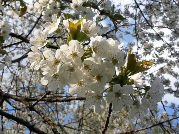 4月下旬起财星庇护，四属相一路顺风顺水，大富大贵不仅仅是梦想 2