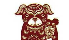 今年属狗的人多少岁,属狗的2020年几岁了