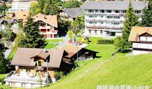 心心相印！11月起，郎情妾意的星座，将同心同德，比翼齐飞