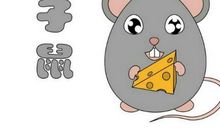 鼠年西北方摆什么旺财,2020年鼠年财位是哪个方位